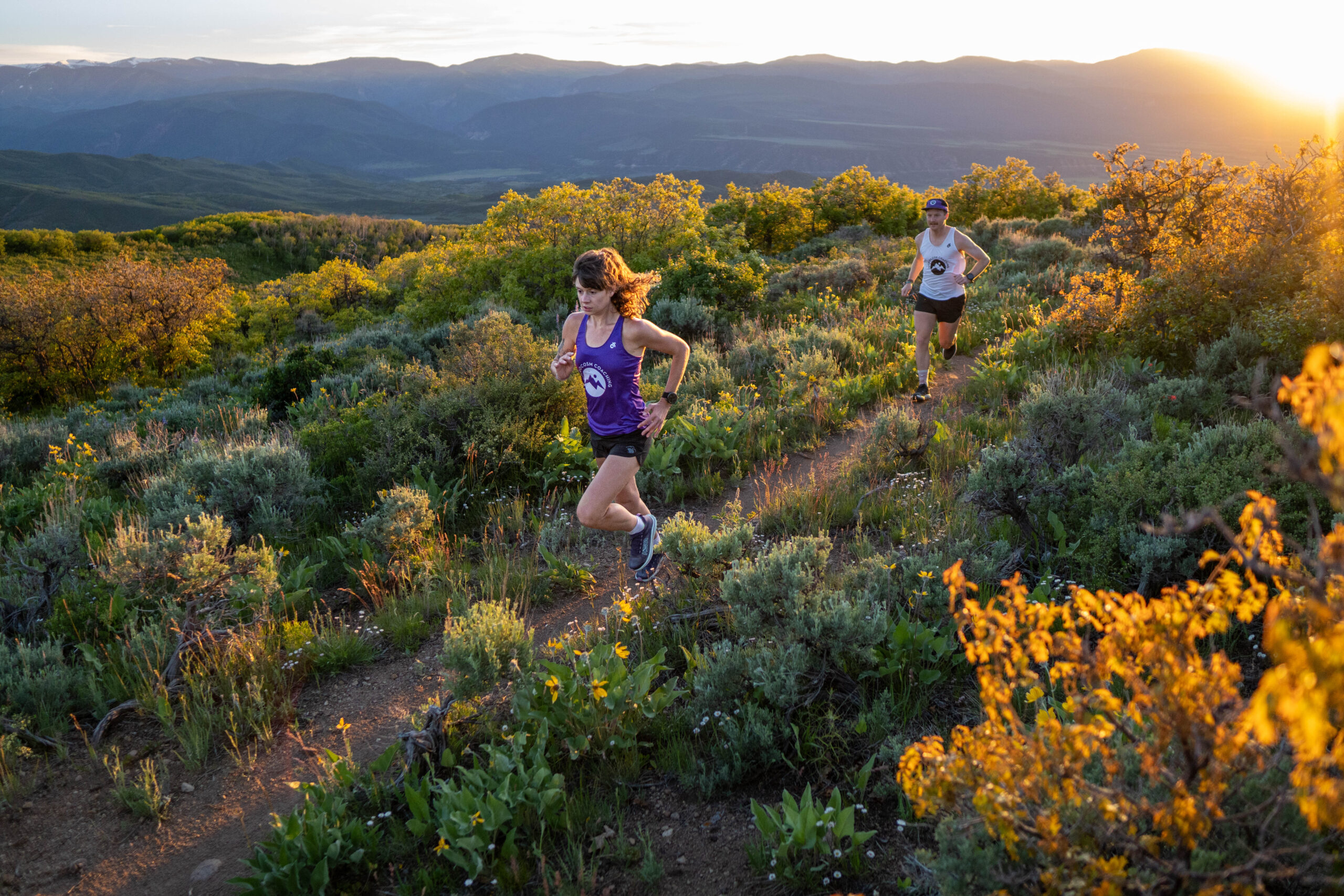 MicrocosmCoachingZoeRomTJDavidCoaches